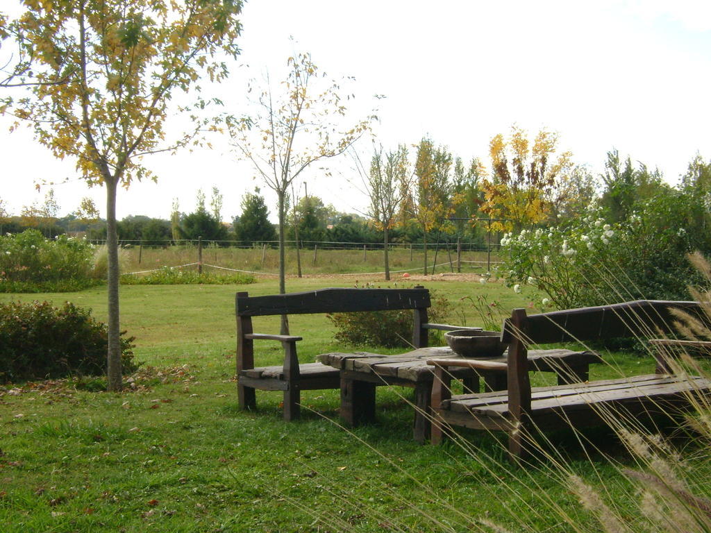 El Ranchito De Areco Villa San Antonio de Areco Esterno foto