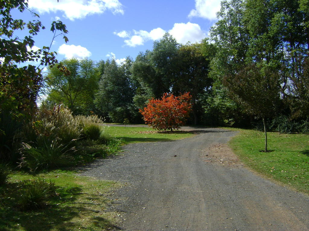 El Ranchito De Areco Villa San Antonio de Areco Esterno foto